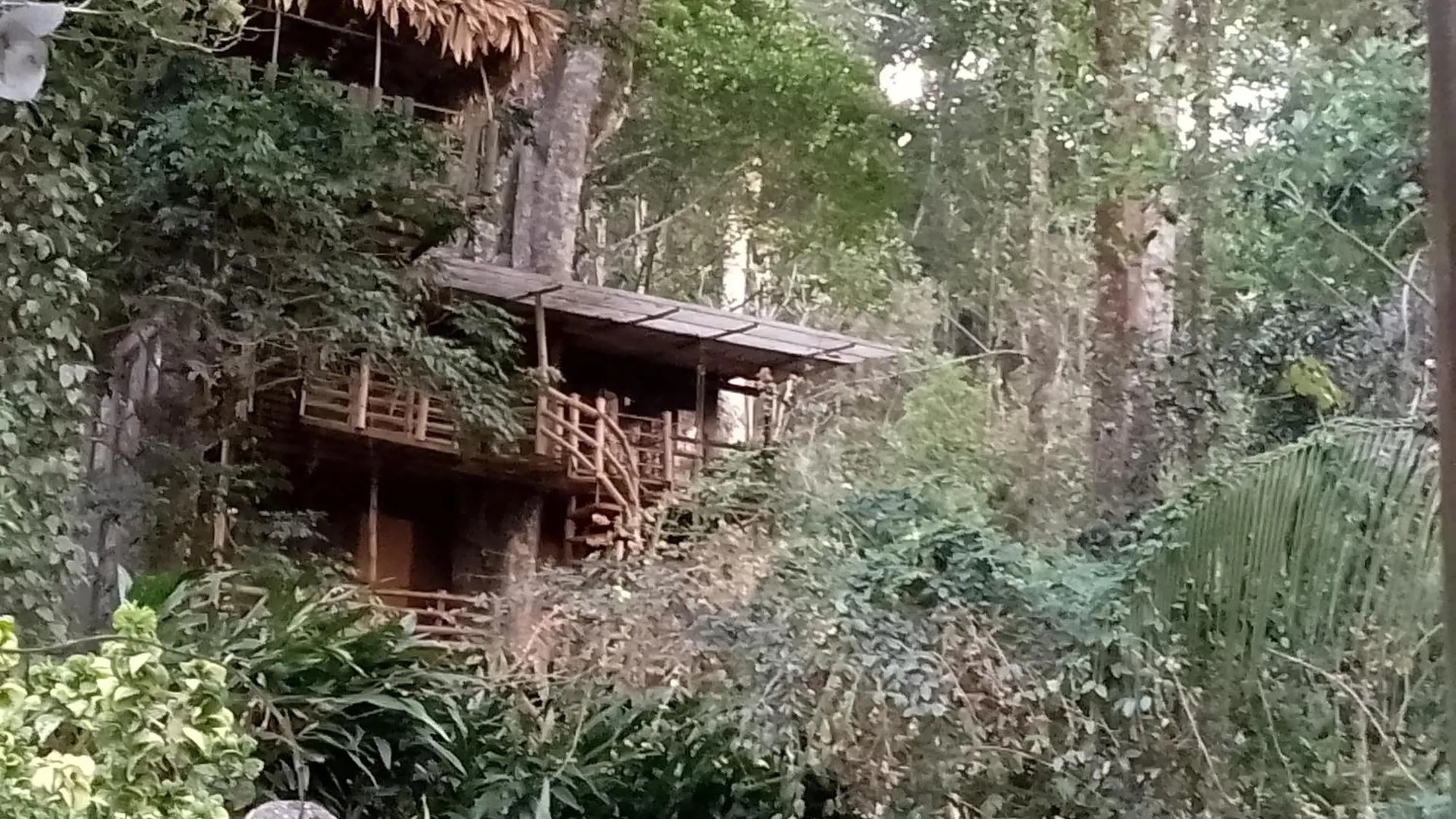 Homestay Mittathanickal Farm House And Tree House Munnar