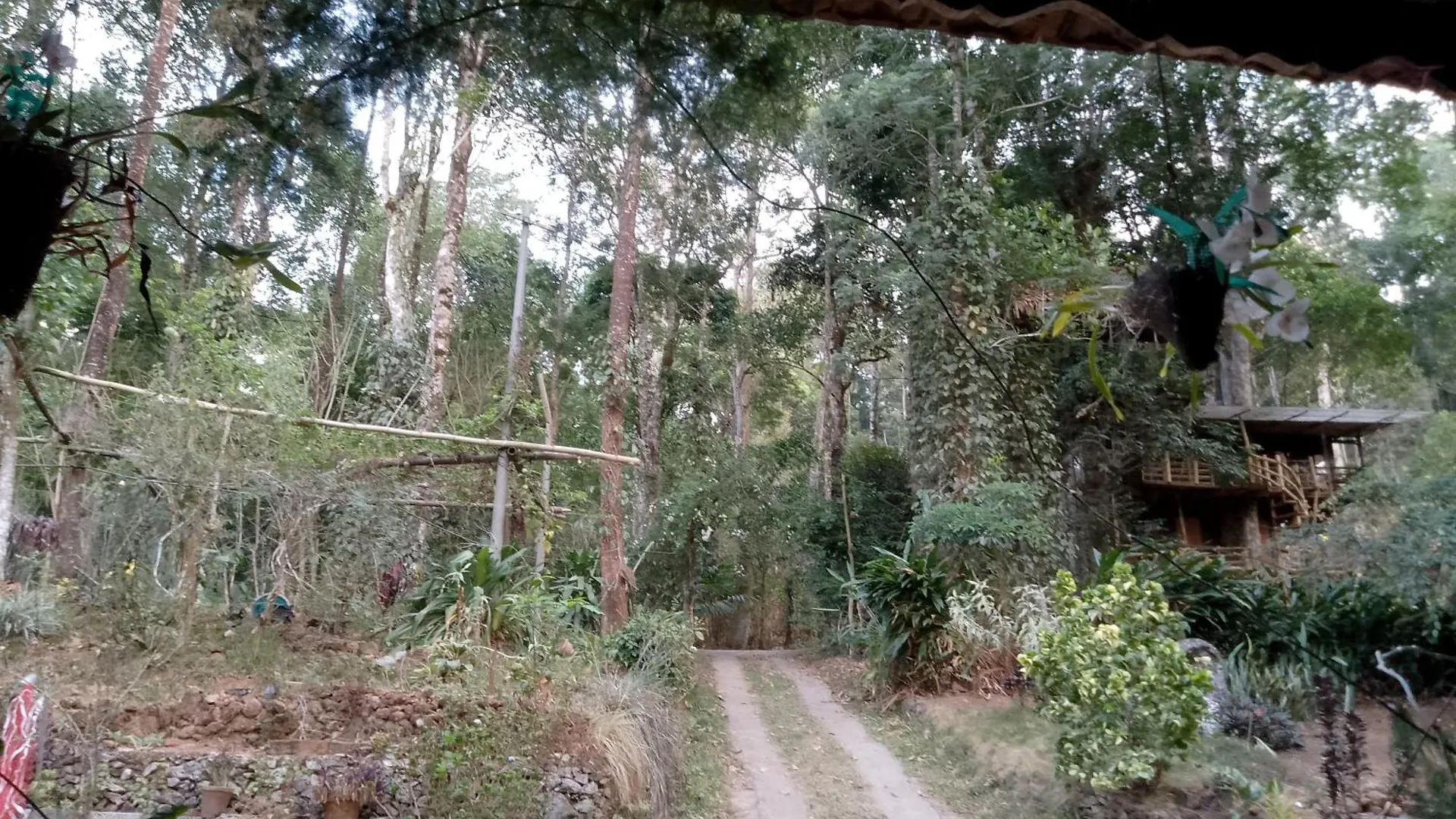Mittathanickal Farm House And Tree House Munnar 0*,