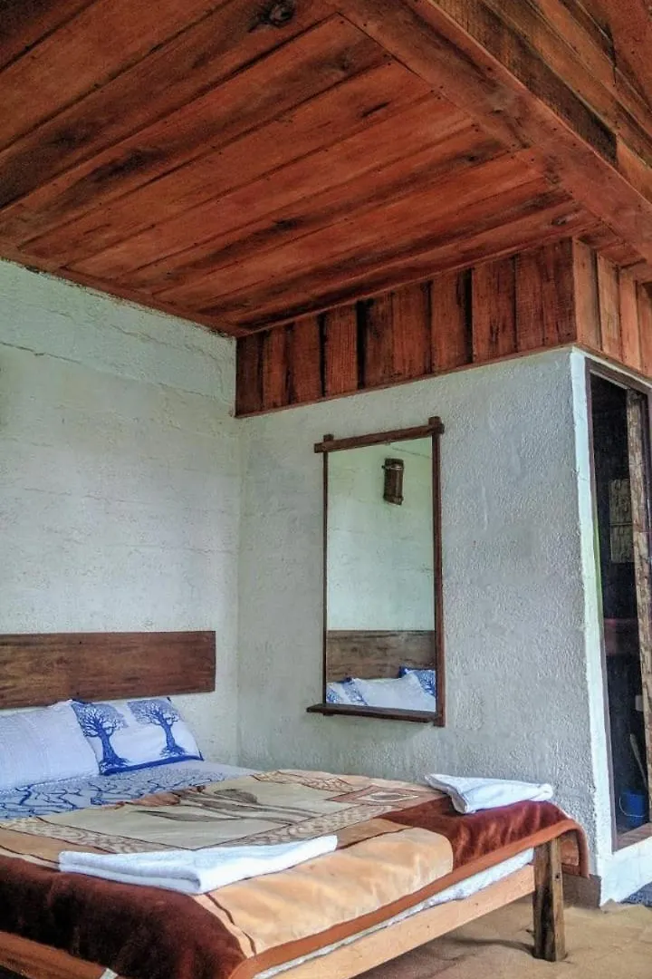 Mittathanickal Farm House And Tree House Munnar
