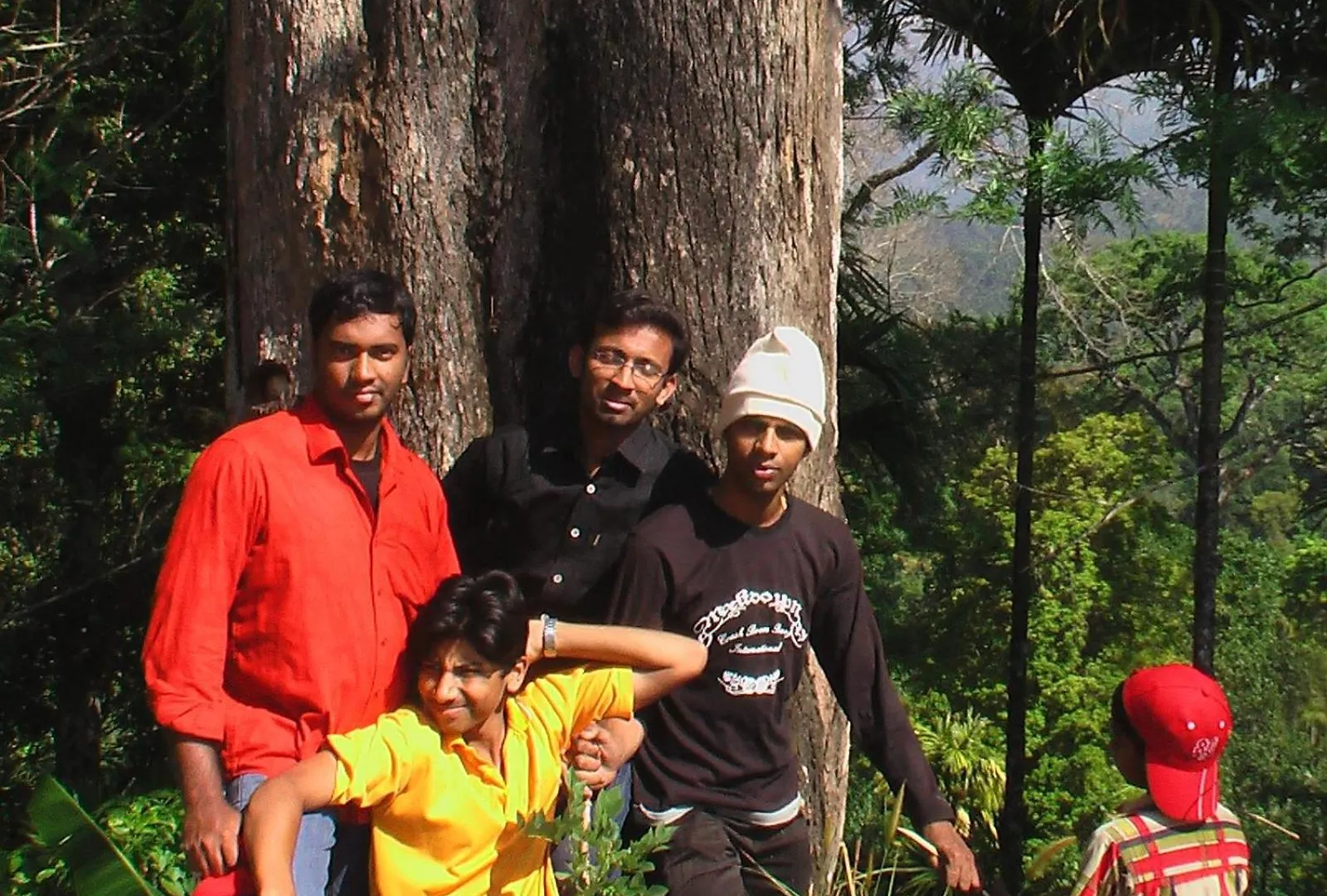 Mittathanickal Farm House And Tree House Munnar