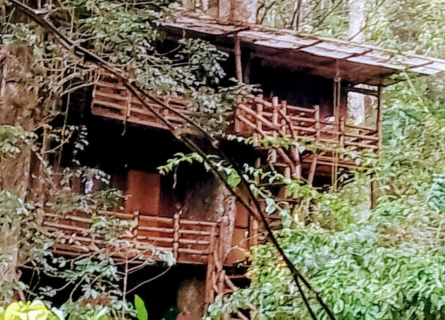 Mittathanickal Farm House And Tree House Munnar